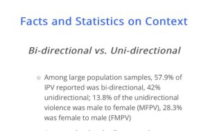 Screenshot of Bi-Directional vs Uni-Directional bullet point from https://domesticviolenceresearch.org/domestic-violence-facts-and-statistics-at-a-glance/
